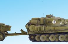 25-Tiger.jpg