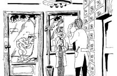 Apotheke.jpg