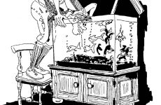 Fisch.jpg