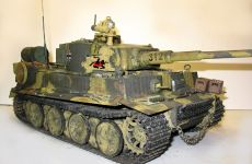 23-Tiger.jpg