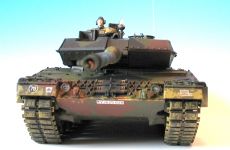 33-Leopard.jpg