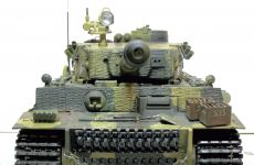 24-Tiger.jpg