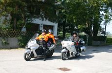 29-Silverwing_600.JPG