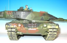 32-Leopard.jpg