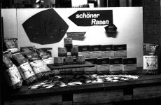 1964-Höller-Eisen-23.jpg