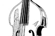 Bass.jpg