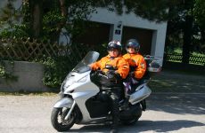 28-Silverwing_600.JPG