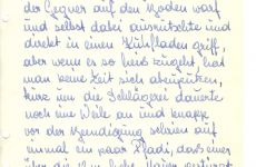 Fahrtenbuch-86.JPG
